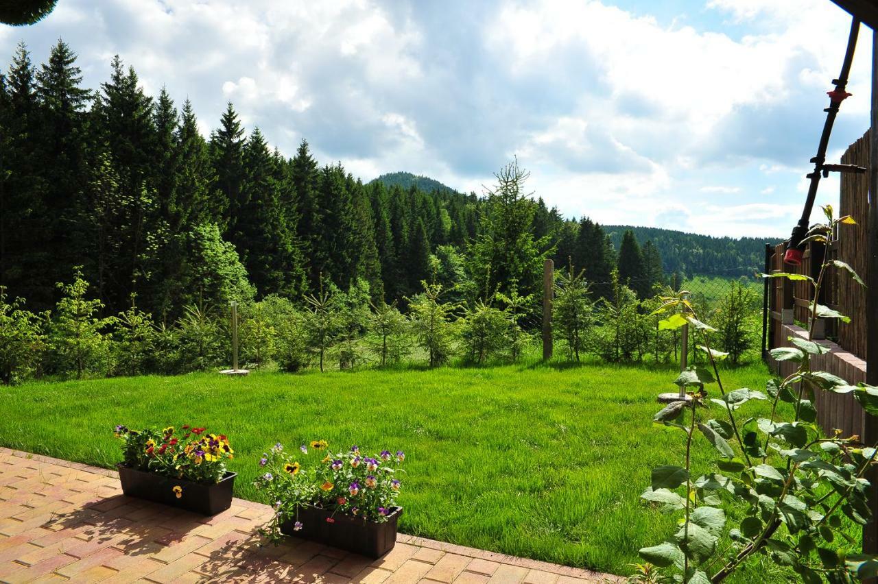 Appartements Und Ferienhaus Gasthof Kanzlersgrund Oberhof  Extérieur photo
