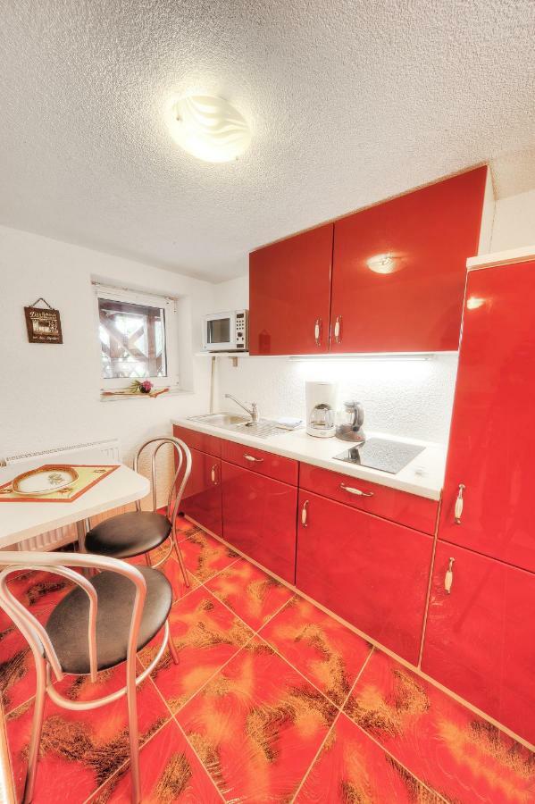 Appartements Und Ferienhaus Gasthof Kanzlersgrund Oberhof  Extérieur photo